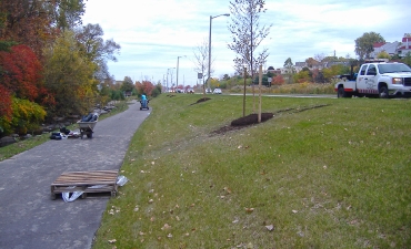 Cascade Creek Restoration_9